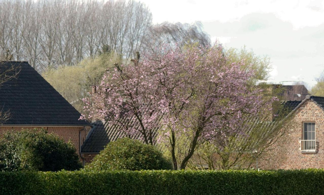 Bed and Breakfast De Rankhove Herne Exterior foto